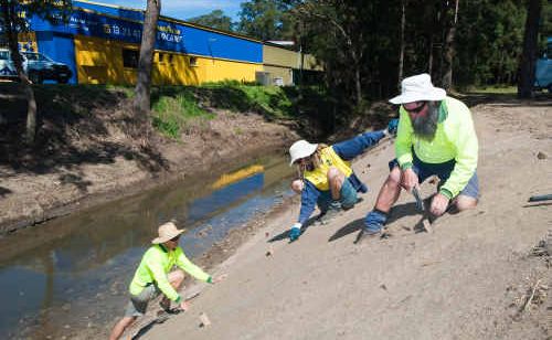 Coffs Harbour City Council Bush Regeneration unit workers Tim Donner, Aaron Hartley and Peter Green at work on the banks of Coffs Creek near Bray St. TREVOR VEALE Coffs Harbour City Council Bush Regeneration unit workers Tim Donner, Aaron Hartley and Peter Green at work on the banks of Coffs Creek near Bray St. TREVOR VEALE